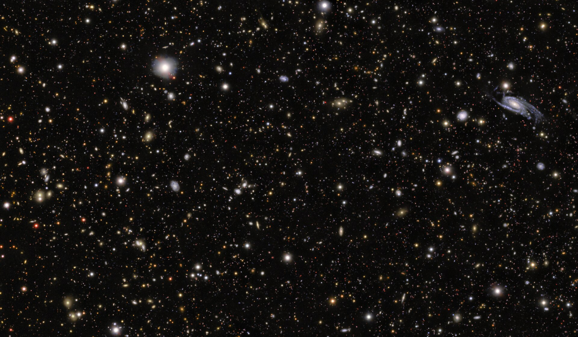 Imagem de observatório mostra o campo estelar da galáxia hospedeira de SN 2026gzf com a posição da supernova assinalada.