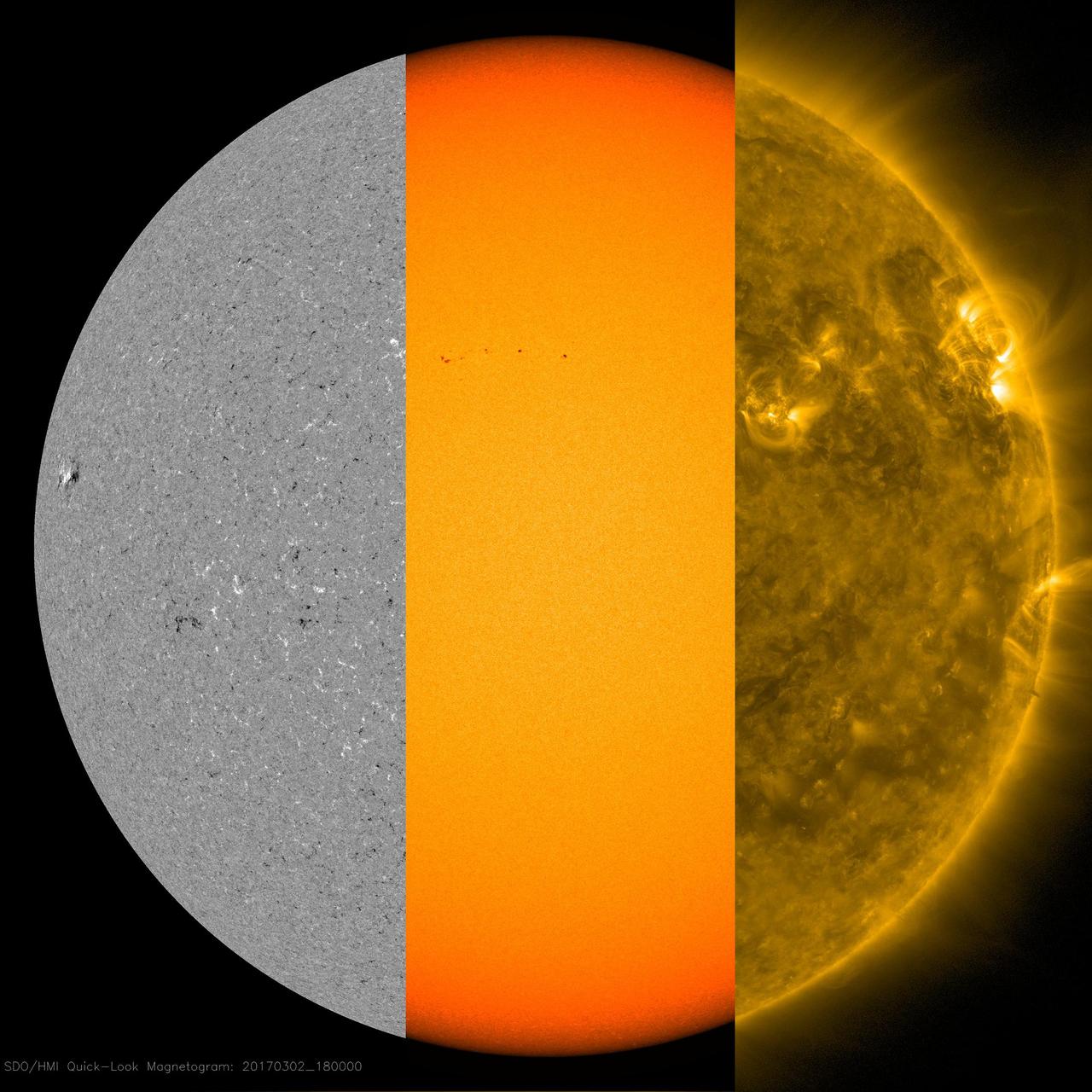 Several small sunspots appeared this week, giving NASA's Solar Dynamics Observatory a chance to illustrate their sources Mar. 2, 2017. Magnetic forces are the dynamic drivers here in these regions of the sun.