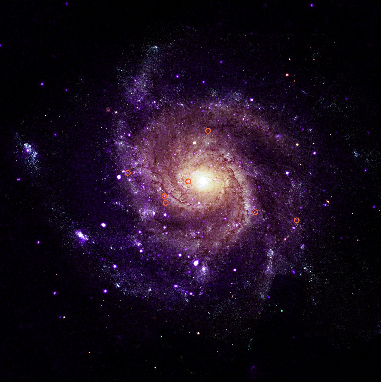 Galáxia M101 observada em raios X, com fontes catalogadas pelo observatório Chandra indicadas na imagem.