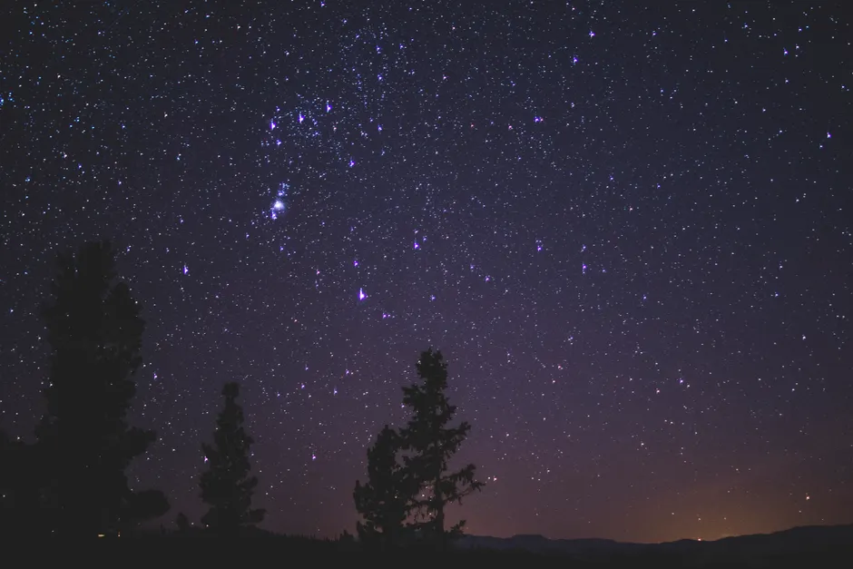 Um céu noturno sereno com constelações visíveis e árvores em silhueta sob um céu estrelado claro.