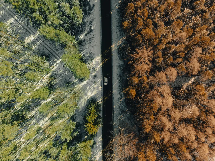 Imagem de drone de um carro dirigindo por uma floresta de inverno, dividindo árvores verdes e marrons em Ilmenau, Alemanha.