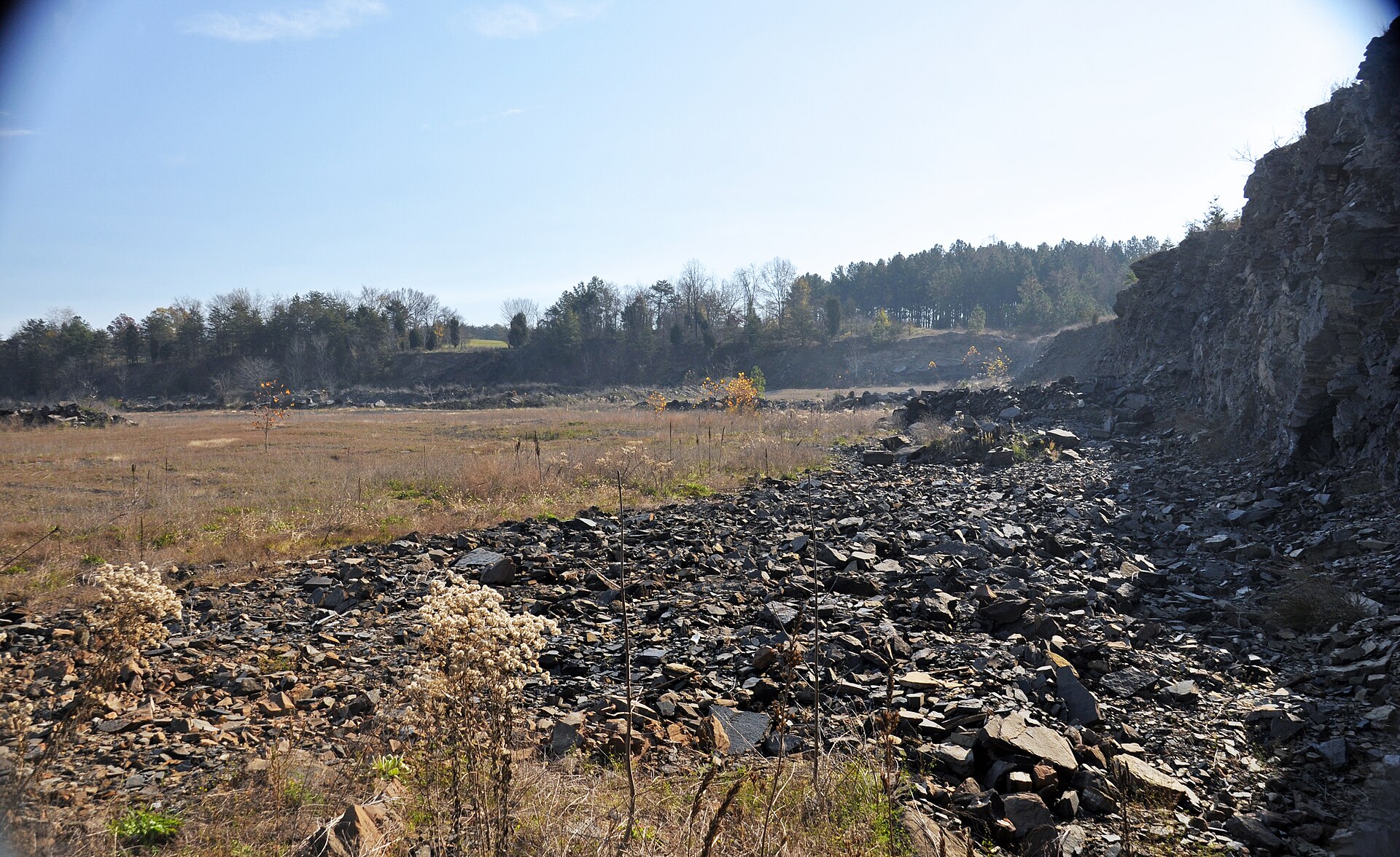 This is the wall of Solite Quarry's Pit B on the Virginia-North Carolina state line. It's an aggregate quarry that has operated since the 1950s. Good fossils occur at this site - the original finds were on the Virginia side of the border, while the best fossils are on the North Carolina side. The aggregate plant's physical address is in Virginia. The currently active pits are in North Carolina. The rocks here are tilted, northwest-dipping sedimentary rocks of the Cow Branch Formation (Upper Tria