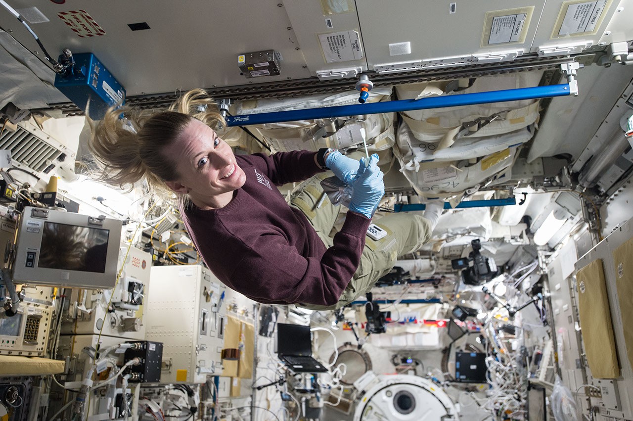 Astronauta trabalhando com amostras em ambiente controlado, imagem usada pela NASA para discutir contaminação microbiana em missões.