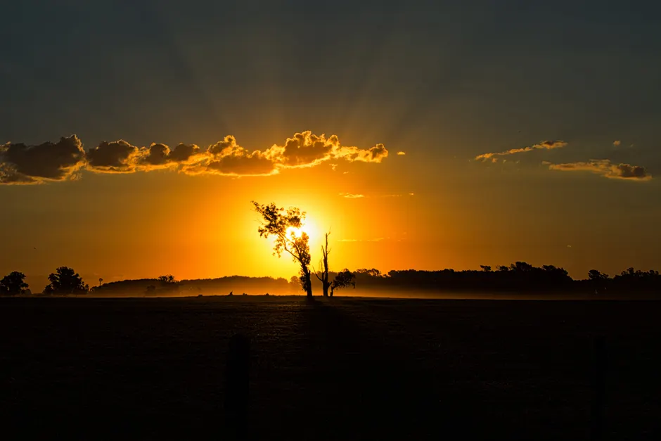 Um pôr do sol deslumbrante com cores vibrantes iluminando um campo tranquilo, criando uma cena de silhueta.