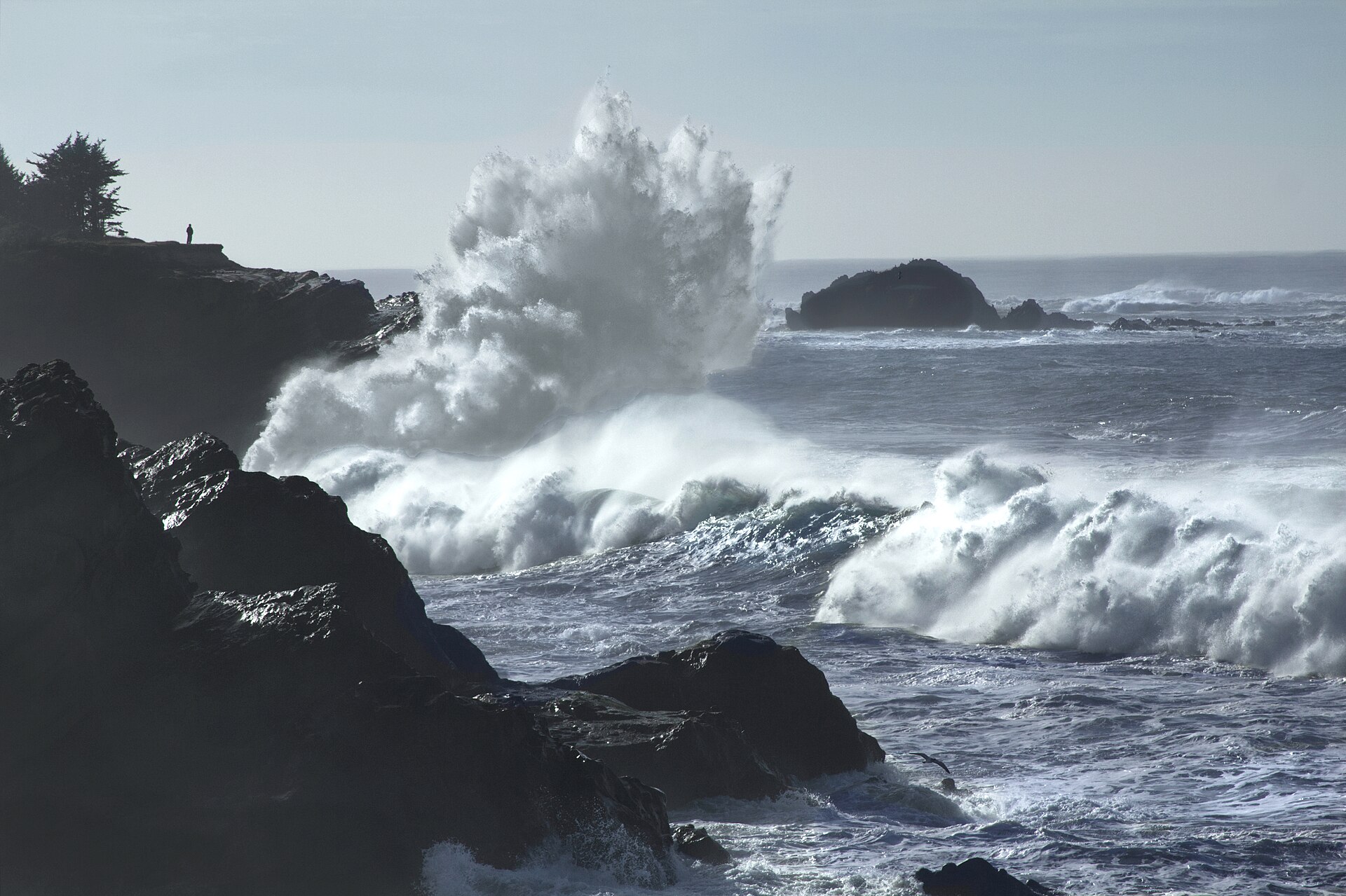 We just had a Pacific storm roll through with lots of rain and wind in Oregon. This is the morning after the storm had left. Luckily it was also the last of the King Tide days, so we scurried over to the coast to see these big breaking waves at high tide. King tides are the highest tides. They are naturally occurring, predictable events. Tides are driven by the relative positions of the Earth, Sun, Moon, land formations, and relative location on Earth. In the lunar month, the highest tides occur