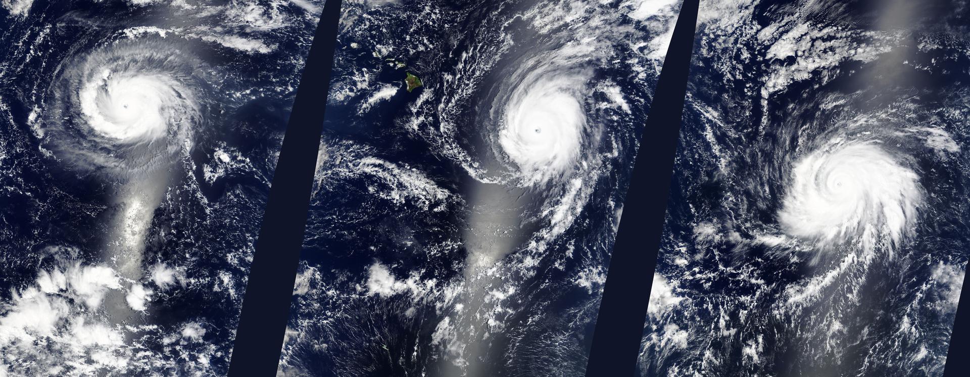 Three Hurricanes in the Eastern Pacific