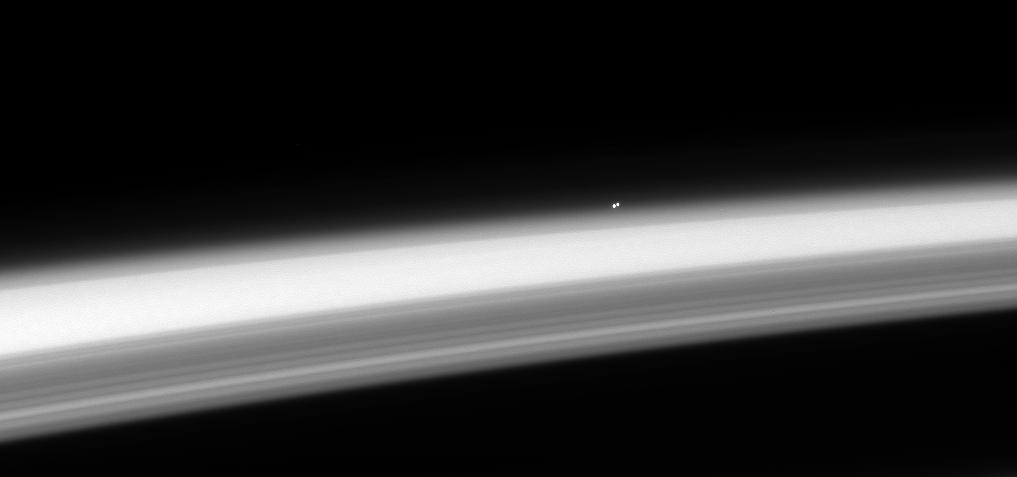 Stellar Horizon