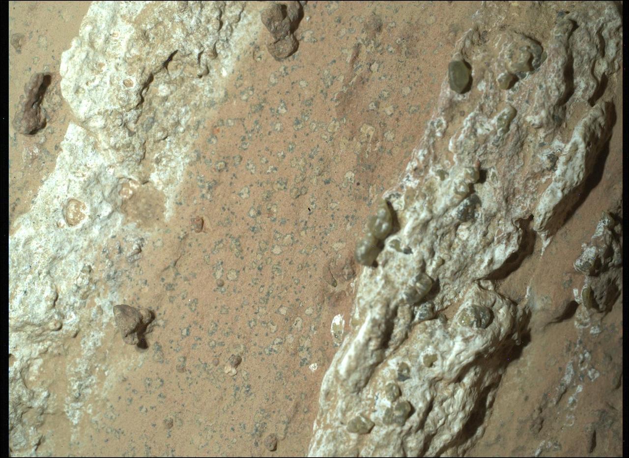 NASA's Perseverance rover discovered leopard spots on a reddish rock nicknamed Cheyava Falls in Mars' Jezero Crater in July 2024.